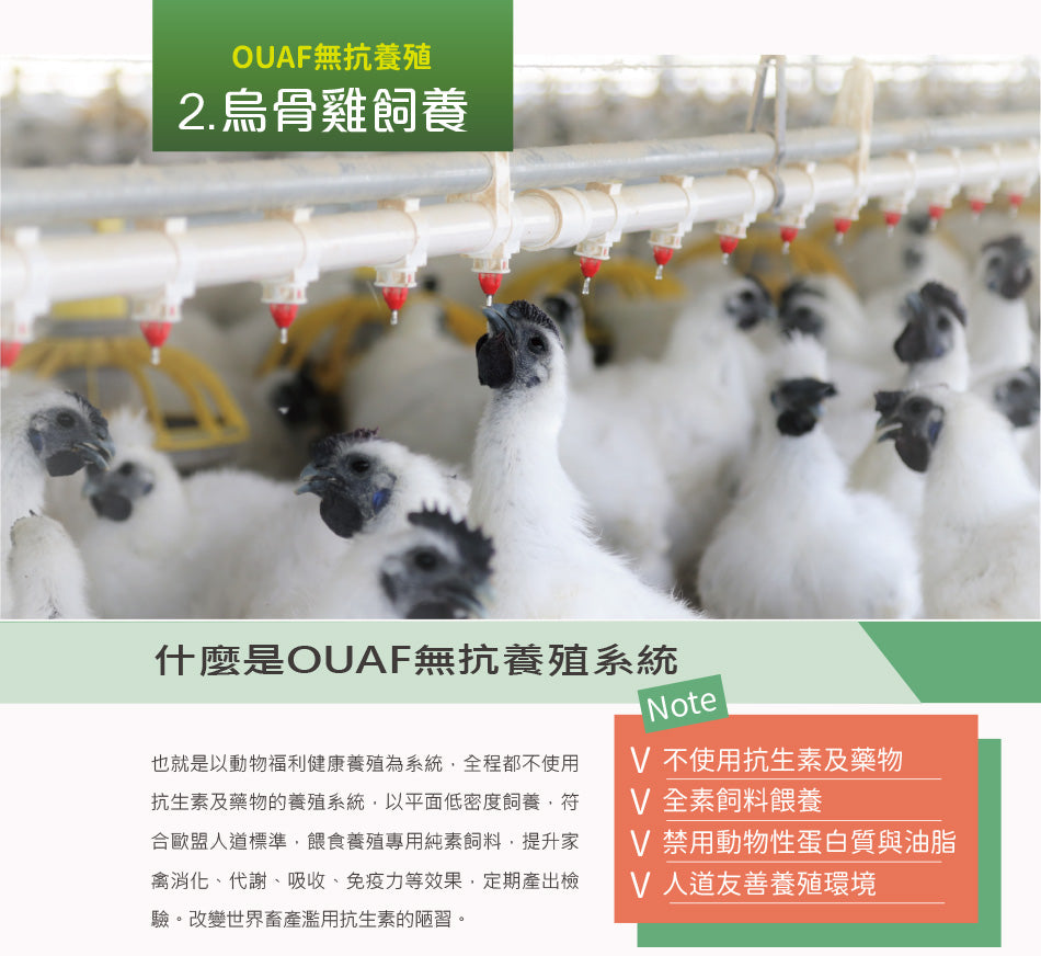 【優補達人】膠原烏骨滴雞精  Silkie Chicken Essence HA