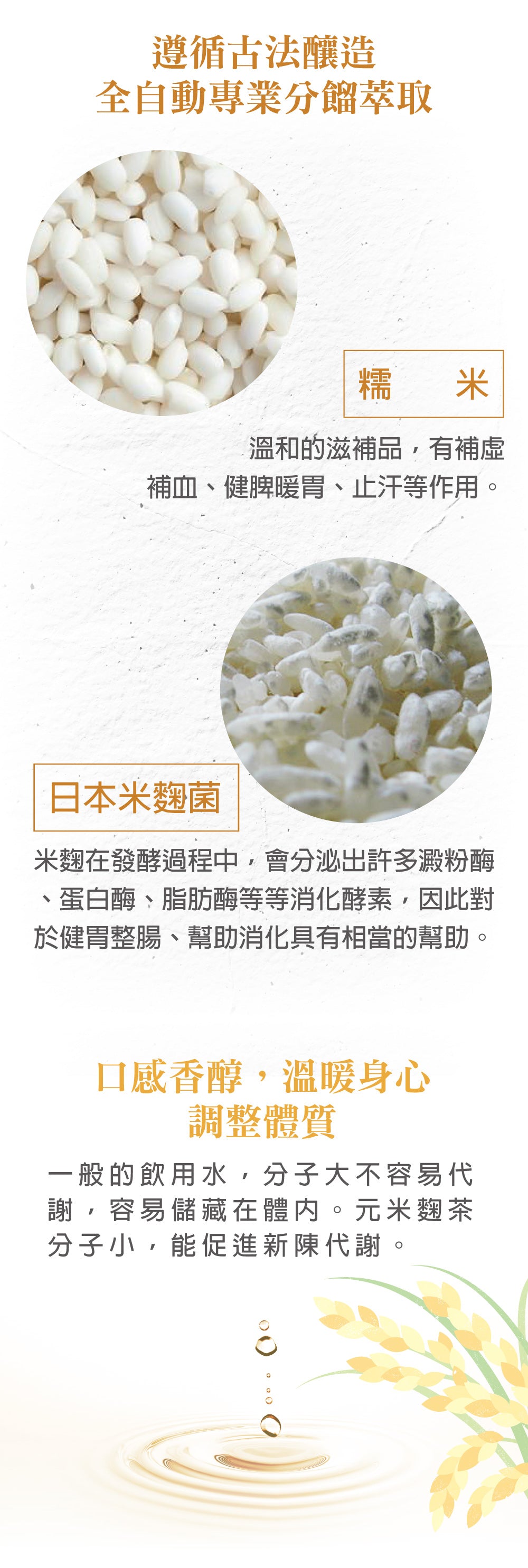 紫金元米麴茶 Kouji Mizu Tea